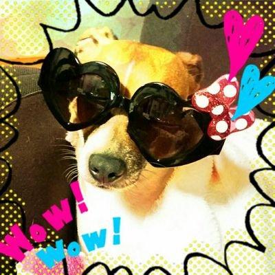 元ヒモプラ民。格闘技、バイク、車、投資が好きなんで気になった方は気軽にフォローして下さい。ちなみに名字は佐藤です