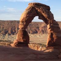 David White (@dr___white) 's Twitter Profile