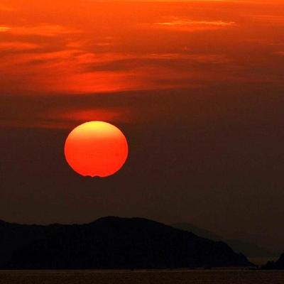 太陽求めポチが行く