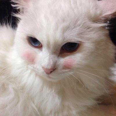 一人との出会いを大切に
