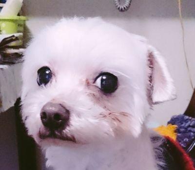 ジャニーズが好きだよ。そんな話ばかりしてる