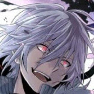 白三匹白黒一匹にゃんこ大好きです。