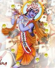 71211156's profile picture. Yes