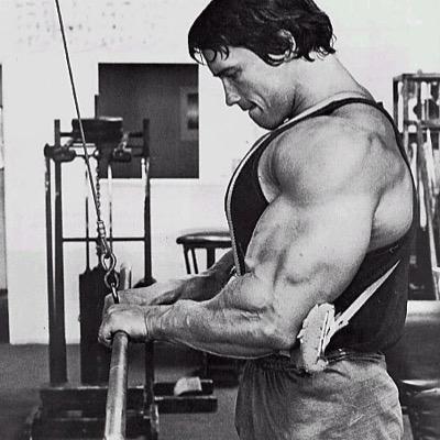To All My Gym Rats Gettin' Gains