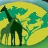 We offer speclalized tailor made traditinal safaris withspecial attention on groups