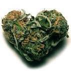 soy nuevo en esto y me gusta fumar.   marihuana legal. la verde señores!