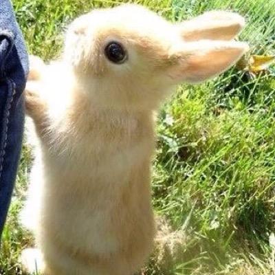 shadowkiler0206's profile picture. 