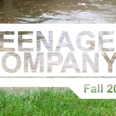 teenagercompany Profile Picture