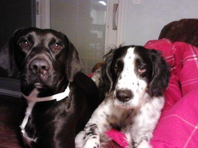 dmed1coxnet's profile picture. 