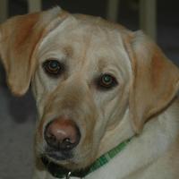 Phillydude (@fairwinds10) 's Twitter Profile Photo