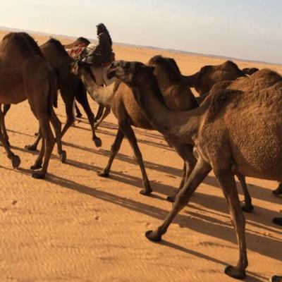 abotlal_10 استقرامي