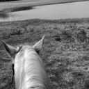 Jesse Aviles - @jesse_aviles22 - Twitter