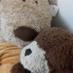 TK (@amazingdogbear) Twitter profile photo TK (@amazingdogbear) Twitter profile photo