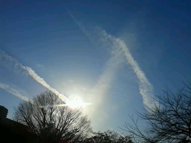 青空、夕焼け、朝日、日暈、空、花、
《Tokyo 》《japan 》