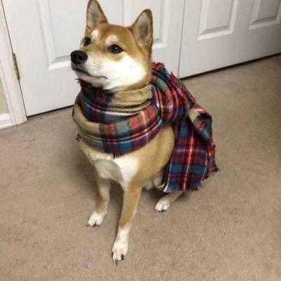 fagget_eatter's profile picture. 