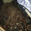 Marty Blake - @MartyBlake8 - Twitter