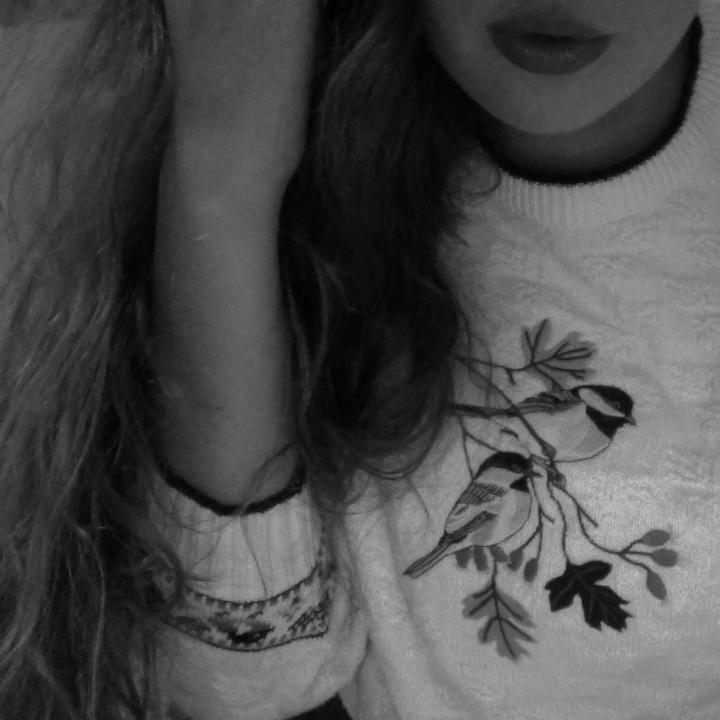 cactus_pony's profile picture. low effort hippy