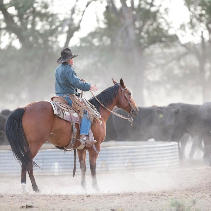 We're http://t.co/CAga92Hpn9, a #startup offering Free Range Grass Fed Beef + Feeding the Hungry. @chriskovac founder. #freerange #grassfed #beef #rancher