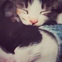 Leah Castillo - @leahcastillo151 - Twitter