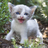 TheMeow's profile image