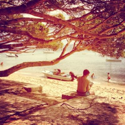 alekandsteph's profile picture. 