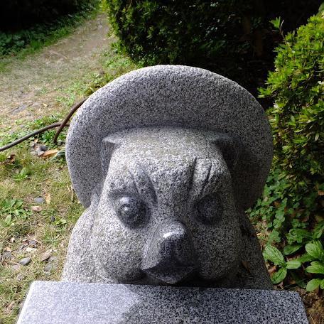 袖山まいこさんのプロフィール画像