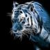 P Singh (@_psingh_) Twitter profile photo P Singh (@_psingh_) Twitter profile photo