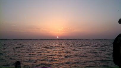 AmyWitzlib's profile picture. 