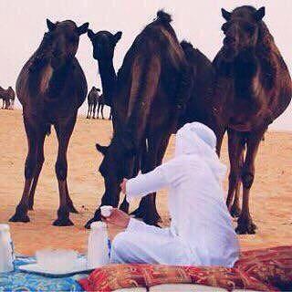 فاحت دلال الجزاله بالمعني، فوق جمر الطيب و النار حيّه ✋
