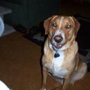 WillHull - @WillHull - Twitter