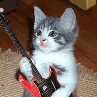 EdmontonBluesMusic (@edmontonblues) 's Twitter Profile