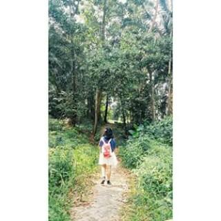 gelineofficial's profile picture. don't talk to me unless you are Niall Horan hahah