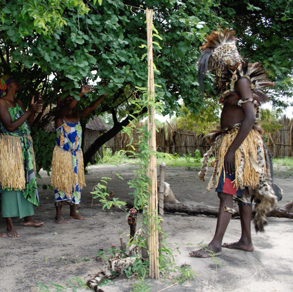 caprivi5's profile picture. 