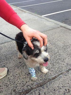 ABK010's profile picture. Being right never gets old