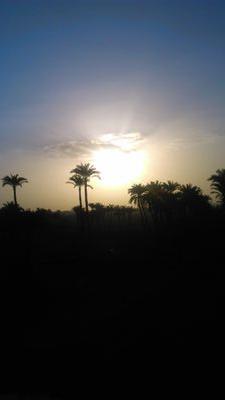 emad2015apram's profile picture. 