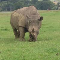 Oli (@olimott) 's Twitter Profile