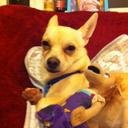 Lewys Jones - @LewysJones8 - Twitter