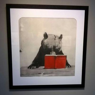 redi_not's profile picture. Three friends discover the power of art and go to any length to install SAM's Street Art. Spaced meets Banksy.... meets Hemel!'