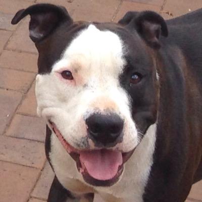 Joanne_Marriott's profile picture. 