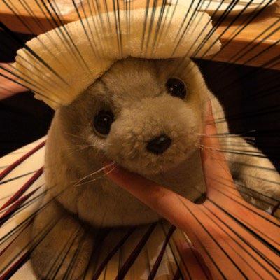 OIS_GHN's profile picture. 焼き餃子とシナモンロールが好きです