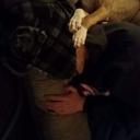 Brandon Bebon (@5c7b499da11449d) Twitter