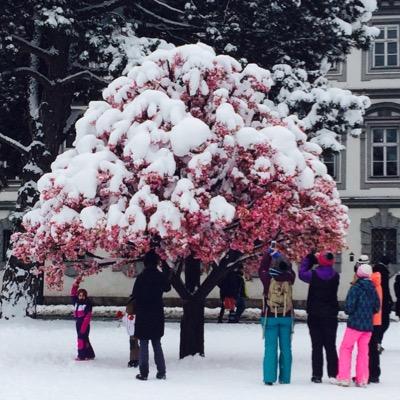 danielaagosti17's profile picture. Consultant involved in improving #Government and #development. Focused on #EU Belevier in the balancing among nature, spirit and human beings