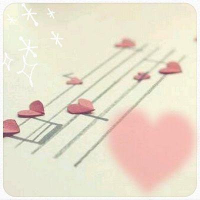 pocoapoco81's profile picture. 