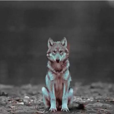 RTsDaiIy's profile picture. @ us for RTs | Be sure to follow @cplck_