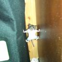 Don Stern - @ED4N_ - Twitter