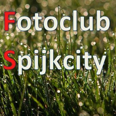 FCSpijkcity's profile picture. 