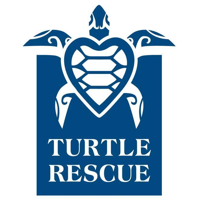 Marine biologist, dive master, and conservationists. http://t.co/Q5X3HiRgOR