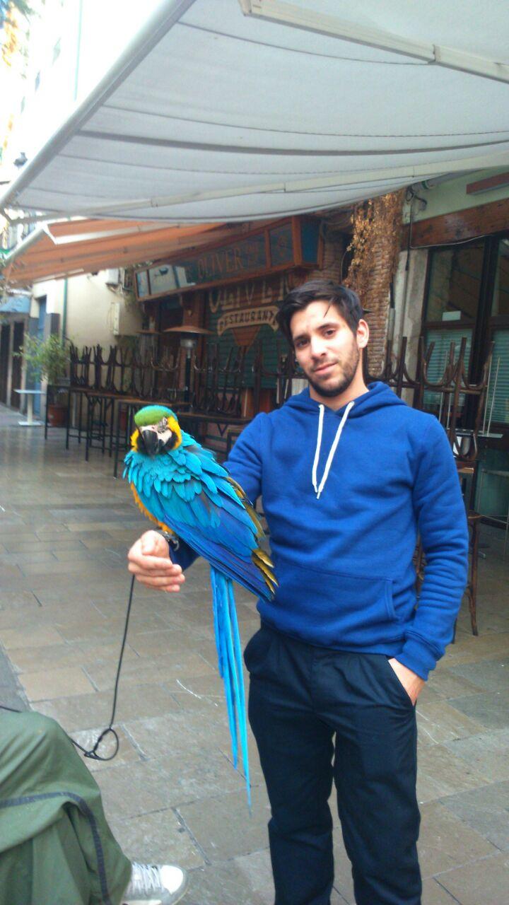Antonio