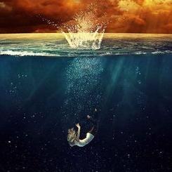 estidsg's profile picture. 