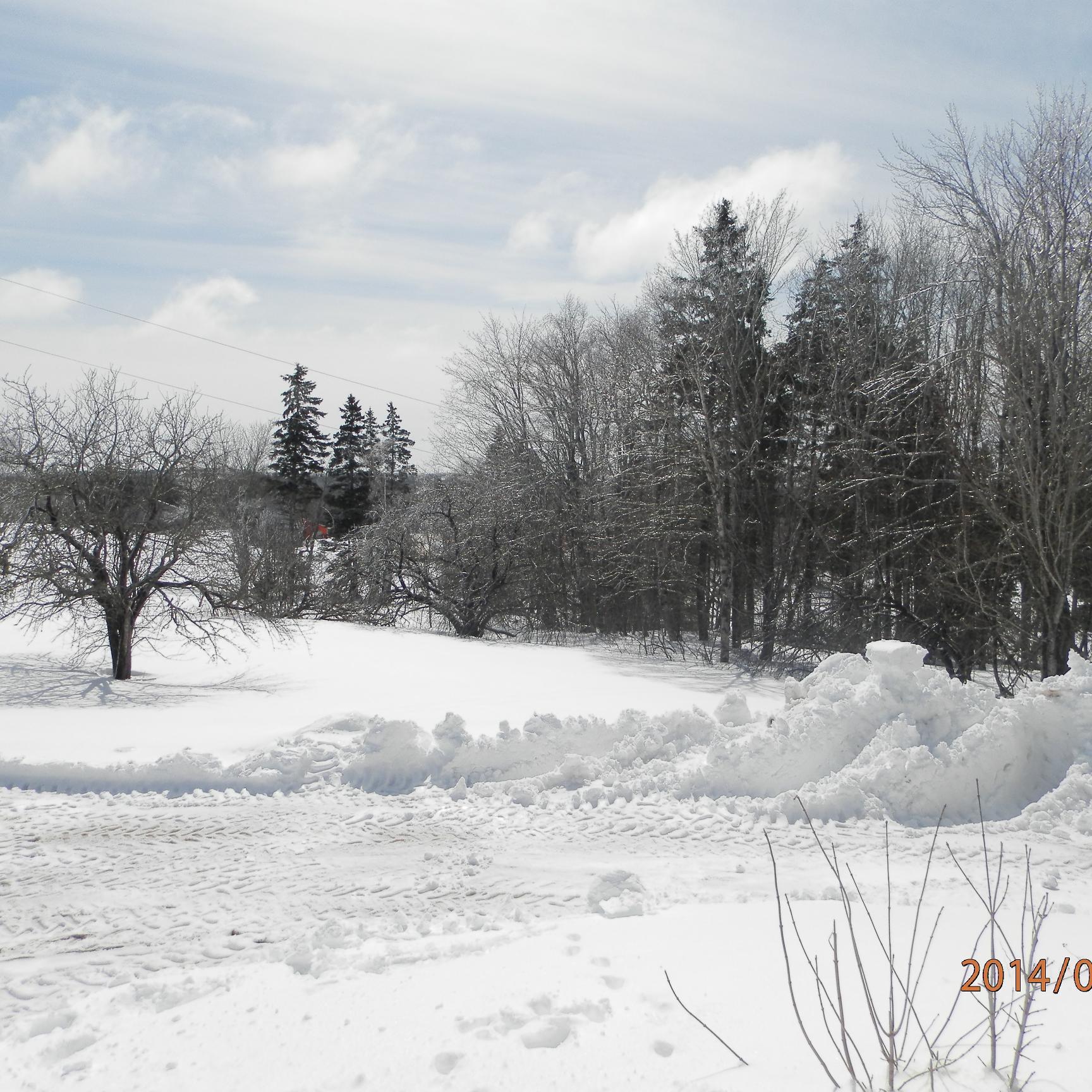 funonthedixon's profile picture. PEI Maple Syrup Company has been in operation since 2000.  It is located on the Dixon Rd in Breadalbane PEI.  There are 2500 trees that are tapped at present.
